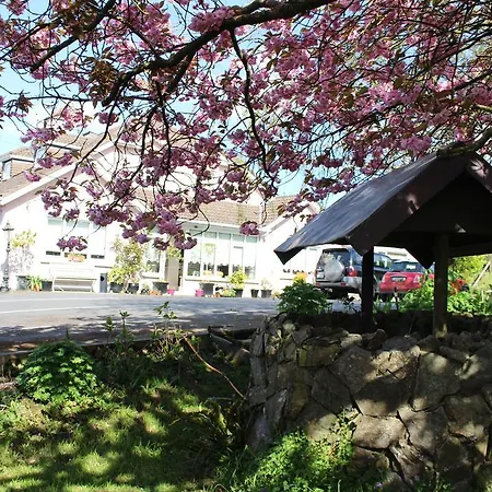 Bed & Breakfast Bearna Rua 3*